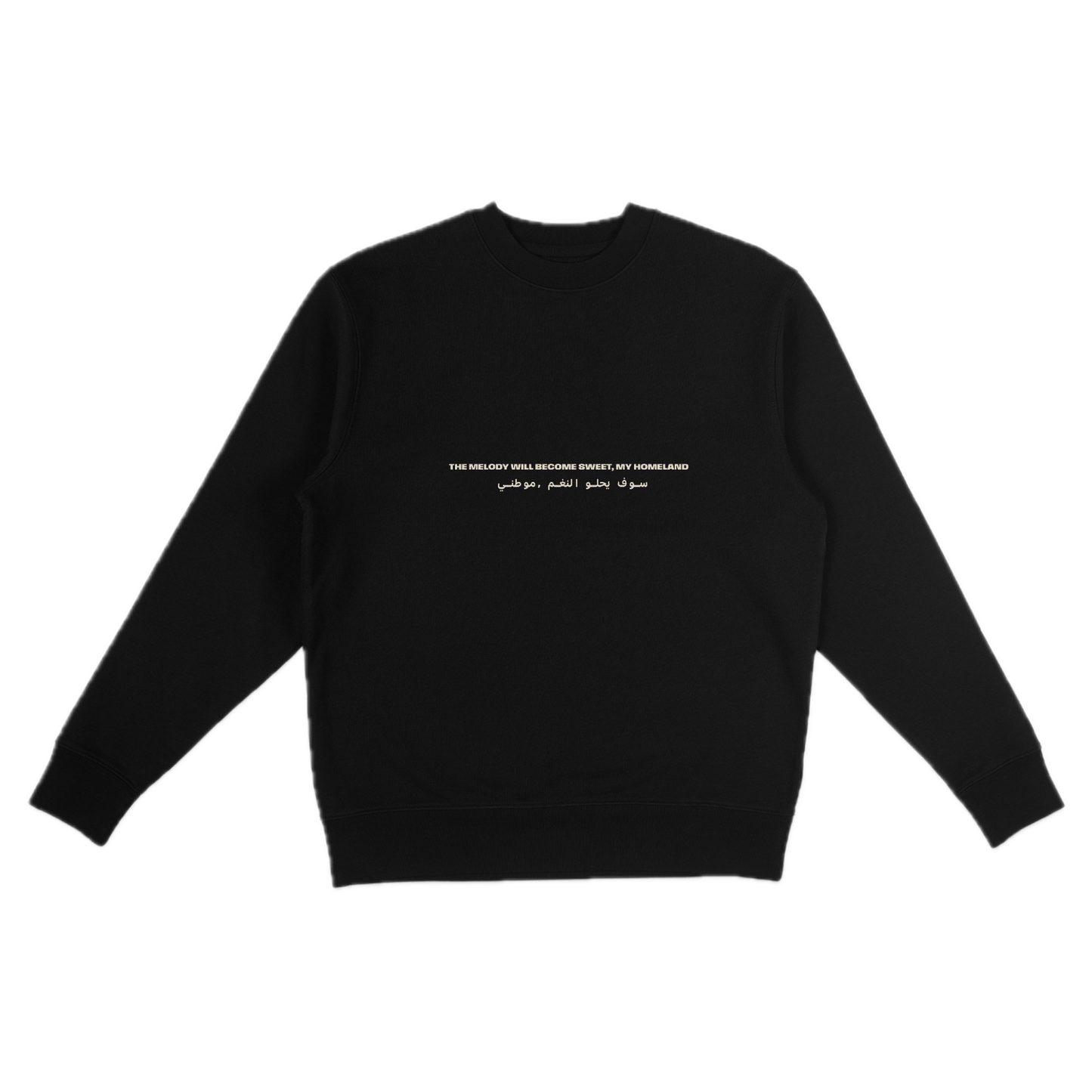 Black Sweatshirt | Strawberries