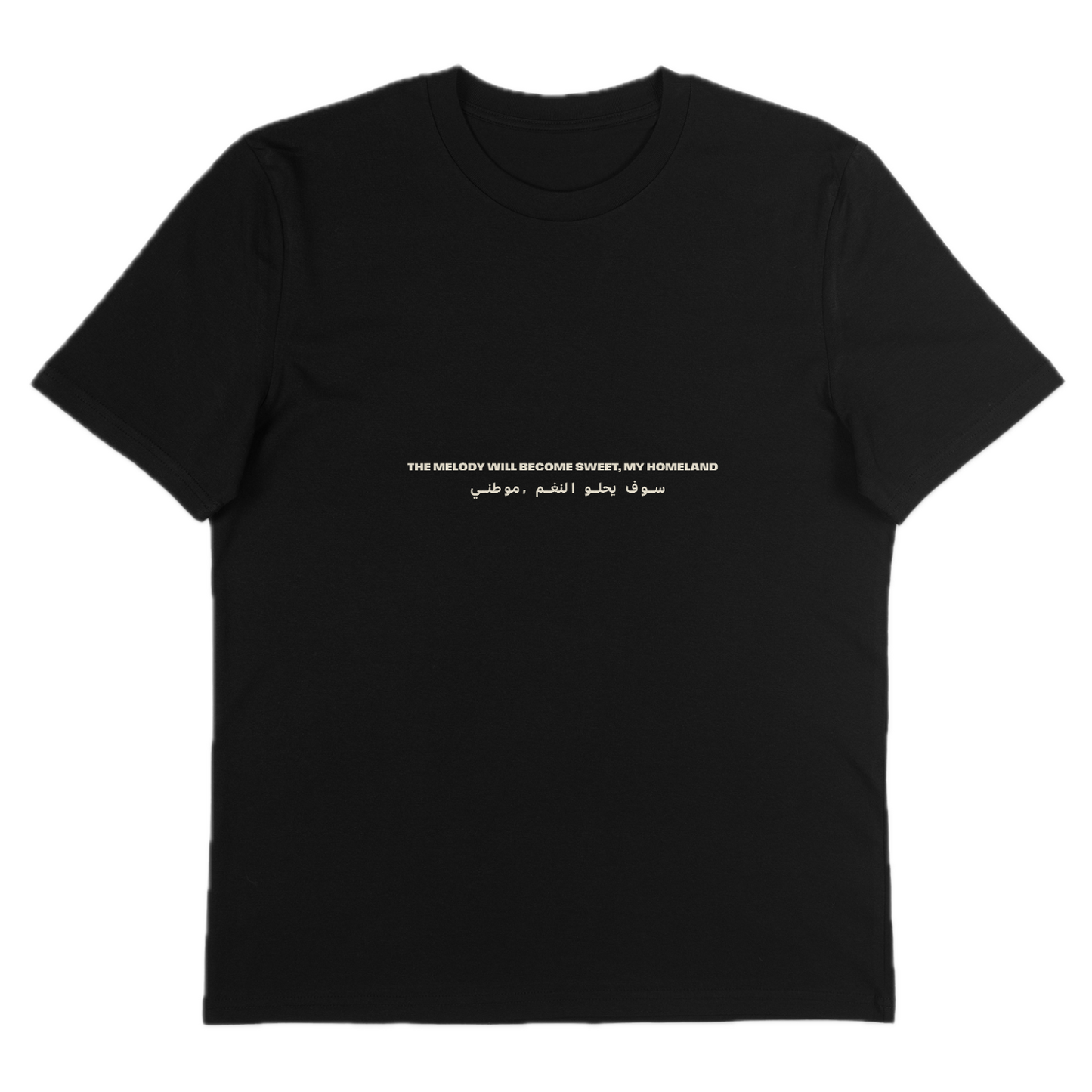 Black T-Shirt | Strawberries